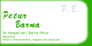 petur barna business card